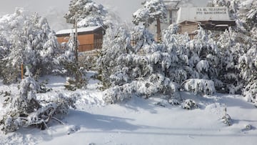 Nieve en Navacerrada durante la temporada de esquí en Navacerrada, a 20 de enero de 2026, en Madrid (España).
20 ENERO 2026
Rafael Bastante / Europa Press
20/01/2026