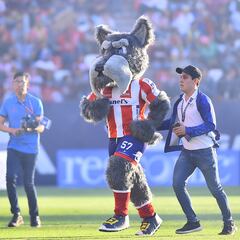 Atlético San Luis presenta a Lucho, su nueva mascota