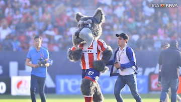 Lucho, la nueva mascota del Atlético San Luis