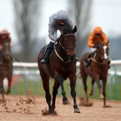 Sábado 2 de noviembre: Apuesta por Sardinian Warrior en Southwell