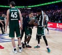 El Unicaja se queda sin el sueño del millón
