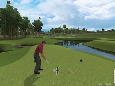 Tiger Woods PGA Tour 2002 (PC)