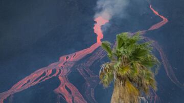 GRAFCAN5285. TACANDE (LA PALMA), 23/10/2021.- El Instituto Volcanol&oacute;gico de Canarias ha informado del derrumbe parcial del cono principal del volc&aacute;n de La Palma. En paralelo, el sism&oacute;grafo del Instituto Geogr&aacute;fico Nacional (IGN