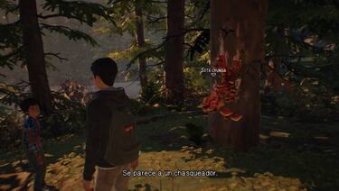 Life is Strange 2: sus mejores easter eggs y referencias