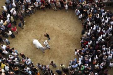 En Siena, desde mediados del siglo XVII, se celebra esta carrera de caballos a pelo con la intención de ganar el Palio, una bandera de seda que representa la Virgen con el Niño.