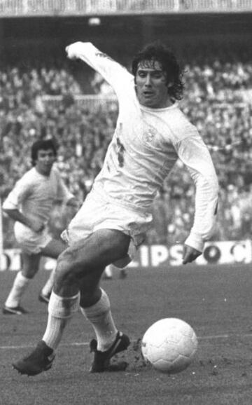 Profesional desde 1970 hasta 1988. Jugó en el Real Santander y en el Real Madrid. Disputó 84 partidos de Copa anotando un total de 48 goles