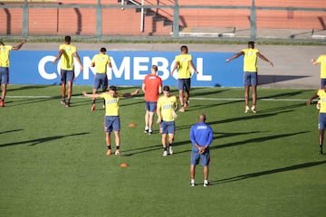 David Ospina ya está con el grupo que entrenó en el estadio Pacaembú a tres días del partido definitivo ante Chile por los cuartos de final de la Copa América. La Selección Colombia hizo la práctica entre risas y el mejor ambiente y espera por el compromiso que será el 28 de junio a las 6:00 p.m.