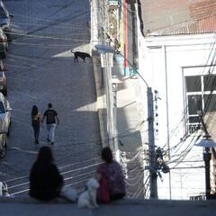 Curva y mapa de casos, contagios y muertes por región en Chile, hoy, 3 de diciembre