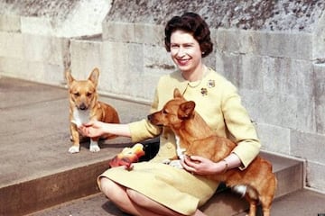 Isabel II y dos de sus perros