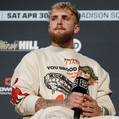 What did Jake Paul say about a Mayweather vs McGregor rematch?