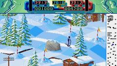 Imágenes de Advanced Ski Simulator