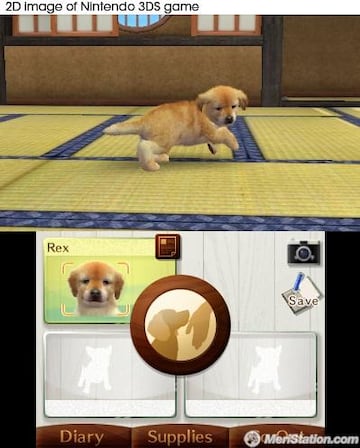 Captura de pantalla - nintendogs_jumping_in_japanese_room_uk.jpg