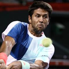 Marin Cilic derrota a Verdasco y Tokio se queda sin españoles