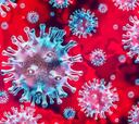 Túnez investiga una posible variante local del coronavirus