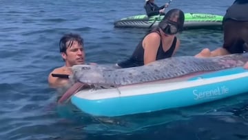 Hallan un extraño pez de cinco metros de largo en la costa de California