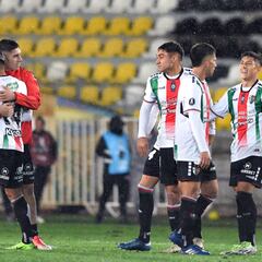 Palestino tiene nuevo DT