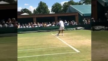 Podlipnik mostró los puntos de su gran victoria en Wimbledon