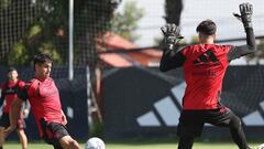 Colo Colo se ilusiona: “Va por buen camino, viene bien educado... El talento lo tiene, todo dependerá de la cabeza”