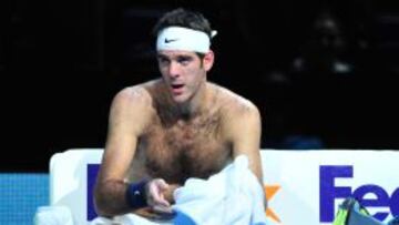 El argentino Juan Martín del Potro.