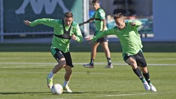 Betis - Ferencvaros: horario, TV y cómo y dónde ver en directo