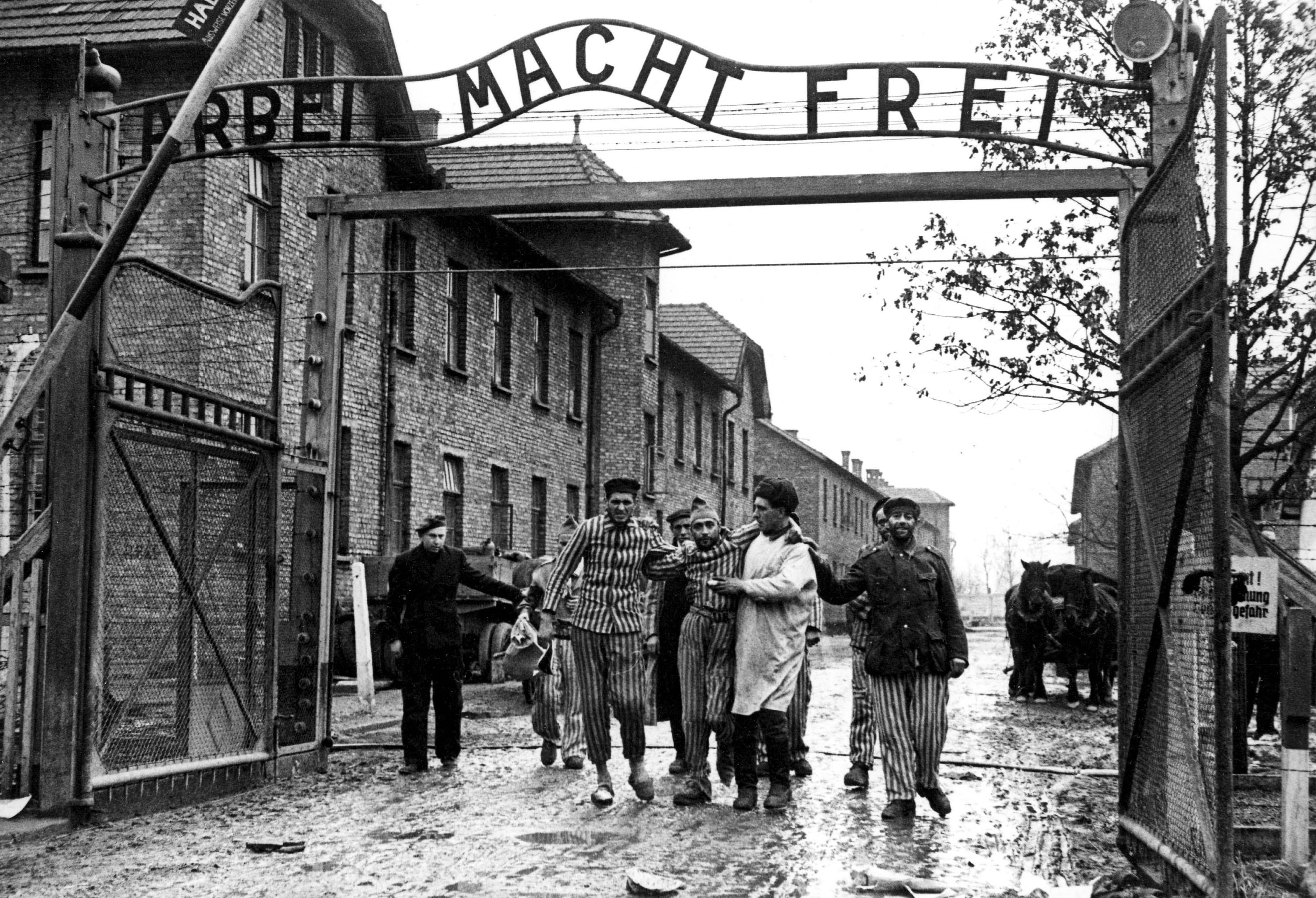 De Auschwitz a Mauthausen: los campos de concentracin nazis ms importantes de la Segunda Guerra Mundial