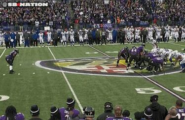 Blue 42! - La resaca del Wild Card (2013)