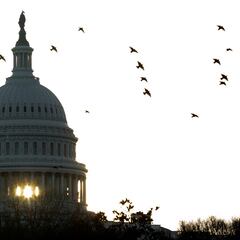 What does the US Congress do and how many seats are up for grabs in the Midterm Elections?