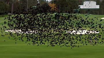 Un Masters oto?al por la pandemia arranca en Augusta