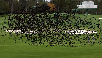 Un Masters otoñal por la pandemia arranca en Augusta