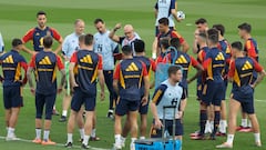 Luis de la Fuente, en el entrenamiento de España en La Rosaleda previo al partido ante Noruega.