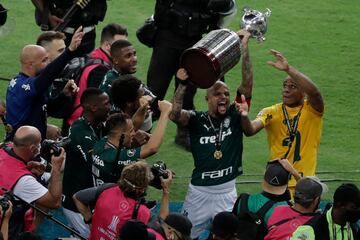 El Palmeiras, campe¨®n de la Copa Libertadores.