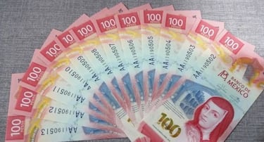 Nuevo billete de 100 pesos: dónde se vende y cómo conseguirlo