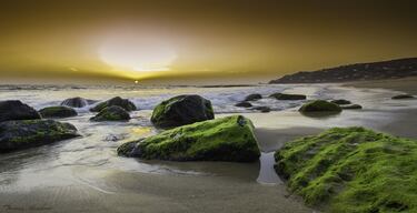 Las arenas de esta playa siempre han marcado la historia del antiguo asentamiento pesquero de Zahara de los Atunes, convertido hoy día en un enclave turístico que contiene hoteles y residencias desde los que se puede acceder a la playa. Con una superficie de arena seca bastante ancha, la desembocadura del río Cachón y dunas intercaladas con asentamientos urbanos, es una playa que tiene todo lo necesario para agradar a todos.