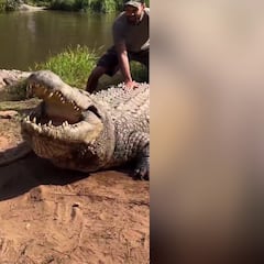 El aterrador sonido que hace Henry, el cocodrilo más viejo del mundo a sus 124 años