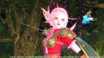 Captura de pantalla - Dragon Quest Heroes (PS3)