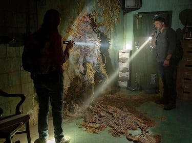 Hallado un hongo cordyceps en Escocia que convierte a las arañas en zombis como en ‘The Last of Us’