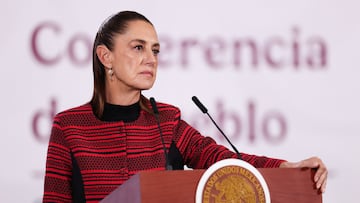 Mexico's President Claudia Sheinbaum addresses the media in her daily press conference saying that her government was "going to take greater measures" following the death last week of a Mexican being held at a federal immigrant detention center in the U.S., in Mexico City, Mexico March 30, 2026. REUTERS/Quetzalli Nicte-Ha