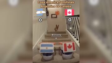 COPA AMÉRICA 2024