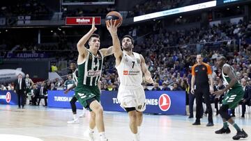 19/12/18 PARTIDO EUROLIGA BALONCESTO
REAL MADRID - PANATHINAIKOS
CAMPAZZO