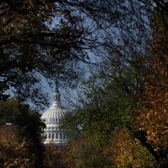 What’s the difference between the Senate and the House of Representatives?