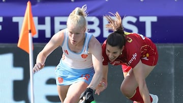 Holanda asesta un duro correctivo a la Selección