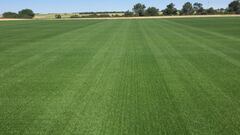 Real Madrid: the new pitch for the Bernabéu is ready