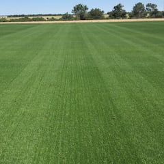 Real Madrid: the new pitch for the Bernabéu is ready