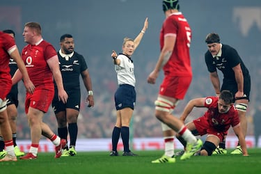 La estrella del Irlanda-Italia es el árbitro 