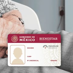 De salud a alimentación: estos son los descuentos que podrá obtener con la credencial del INAPAM