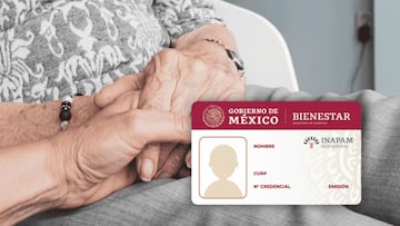 Descubre cuáles son los descuentos que ofrece la credencial INAPAM para los adultos mayores.