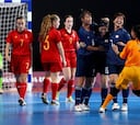 España luchará por el bronce tras caer en semifinales contra Japón
