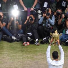Djokovic: La historia de 'Novak Slam'