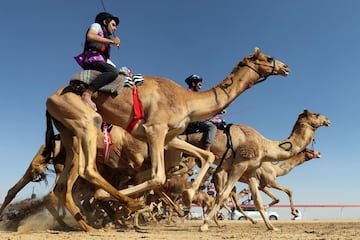 Carrera de jinetes durante el Sheikh Sultan Bin Zayed al-Nahyan, festival de camellos, en el hipódromo de Shweihan en al-Ain, en las afueras de Abu Dhabi, 