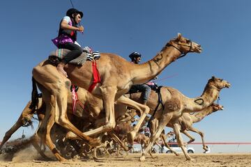 Carrera de jinetes durante el Sheikh Sultan Bin Zayed al-Nahyan, festival de camellos, en el hip¨®dromo de Shweihan en al-Ain, en las afueras de Abu Dhabi,